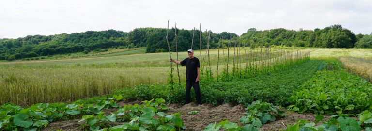 Volodymyr, the farmer: Cultivating new land, cultivating hope